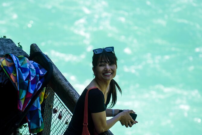 Private Rhine Falls Half Day Tour with a Local from Zurich - What the private transport and timing mean