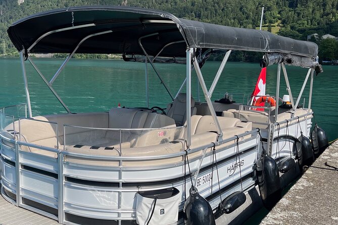 Private Sightseeing Boat Trip on Lake Thun, Interlaken - What the one-hour duration really means