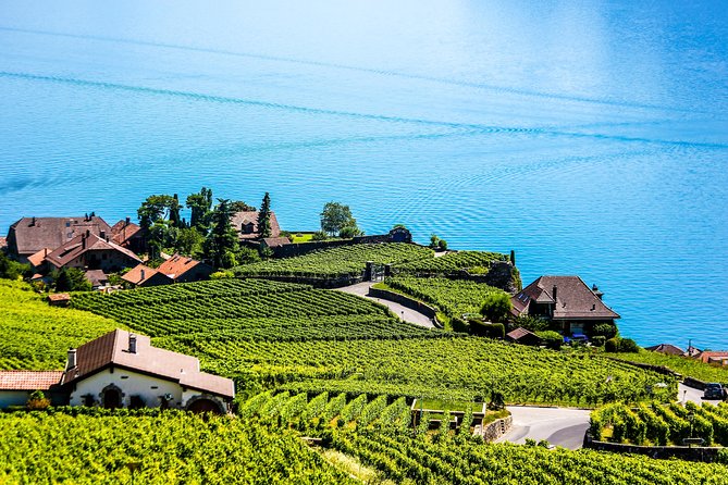 Private Tour to Gruyères, Chocolate & Cheese Factory from Geneva - Guides, comfort, and the small details that matter