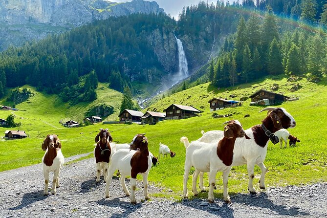 Private tour to the most breathtaking insider spots in Switzerland (1 day) - Brunnen viewpoint: a quiet look over Lake Lucerne