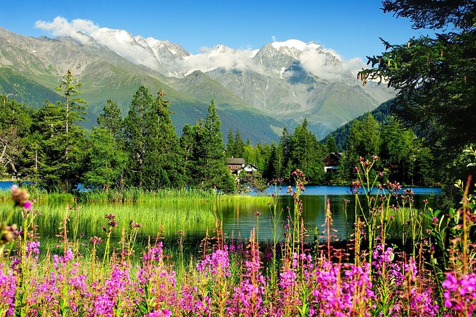 Private Trip from Geneva to Swiss Riviera Montreux & Chamonix - Why this Geneva day trip works