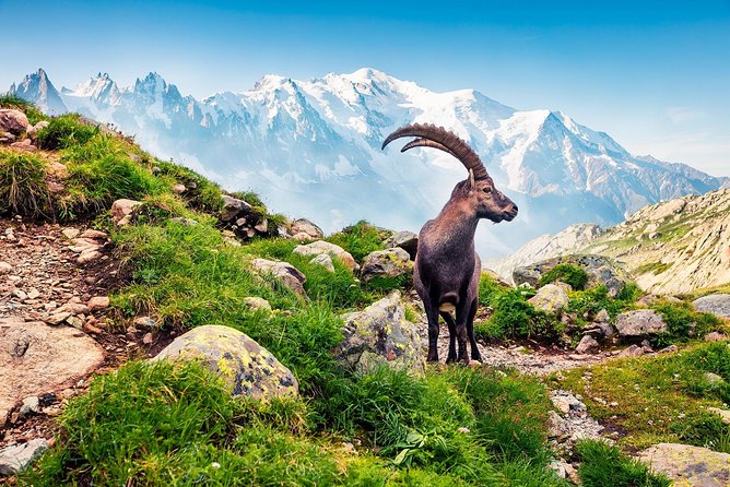 Private Trip from Geneva to Swiss Riviera Montreux & Chamonix - Timing, borders, and the nine-hour limit