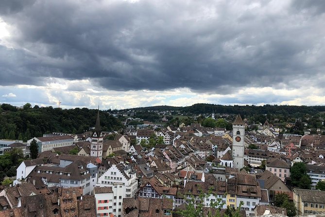 Rhine Falls and Stein am Rhein (Private Tour) - The optional boat ride near the falls