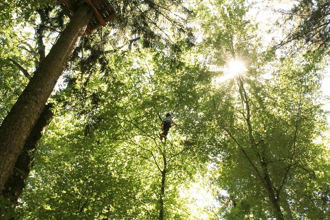 Ropes Park Interlaken - Nine forest courses, from easy starts to high rope work
