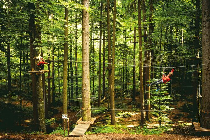 Ropes Park Interlaken - Allow three hours, not a rushed afternoon