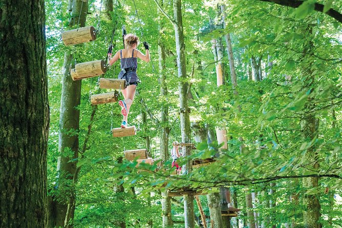 Ropes Park Interlaken - Wooden bridges, Tarzan swings, and zip lines