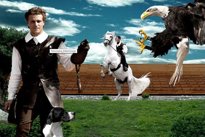 Skip the Line: Falconeria Locarno Ticket - The close-up spectacle at Falconeria Locarno