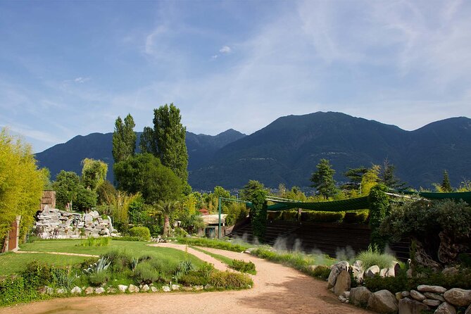 Skip the Line: Falconeria Locarno Ticket - Falconry from Persia and Arabia to Europe