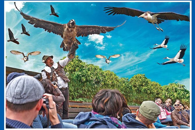Skip the Line: Falconeria Locarno Ticket - Is the $38.61 admission good value?