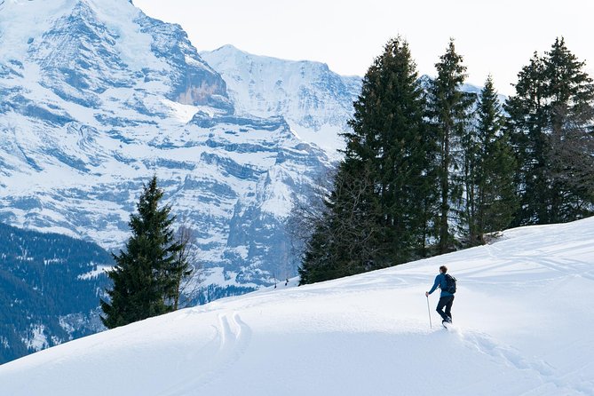 Snowshoe Adventure in the Swiss Alps - Key points to know before booking