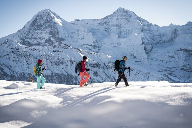 Snowshoe Adventure in the Swiss Alps - Walking through forest, meadows, and hamlets