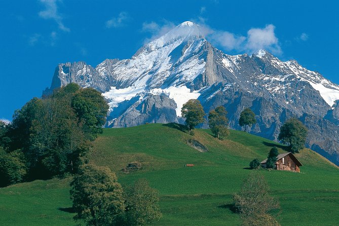Swiss Alps: Interlaken and Grindelwald Day Trip from Zurich - Starting at Zurich Sihlquai at 8:30