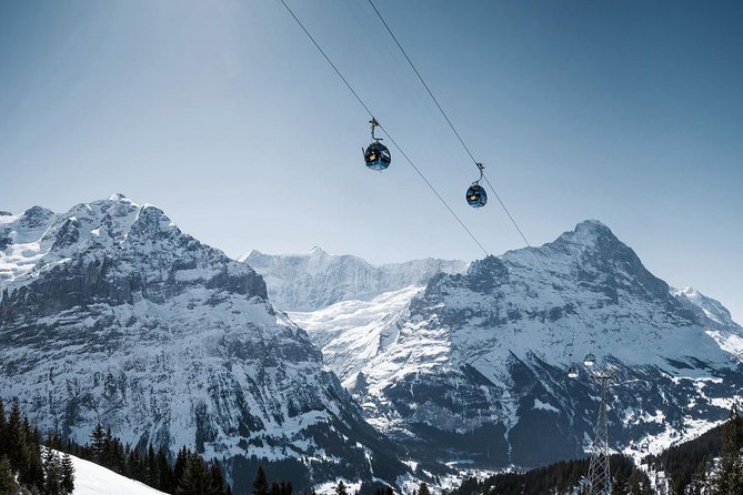 Swiss Alps: Interlaken and Grindelwald Day Trip from Zurich - The Guide Question Matters