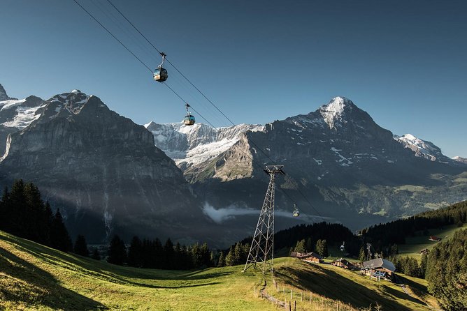 Swiss Alps: Interlaken and Grindelwald Day Trip from Zurich - Timing, Walking, Cash, and Weather