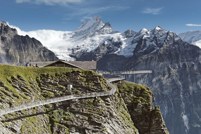 Swiss Alps: Interlaken and Grindelwald Day Trip from Zurich - Who Should Book This Outing?