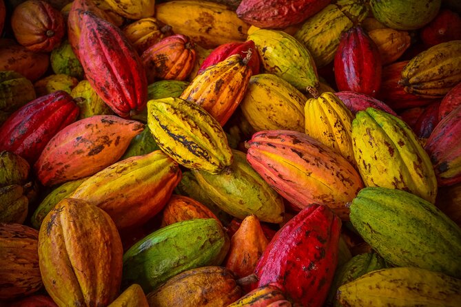 Swiss Chocolate Tasting Experience | Basel - The main drawbacks to consider