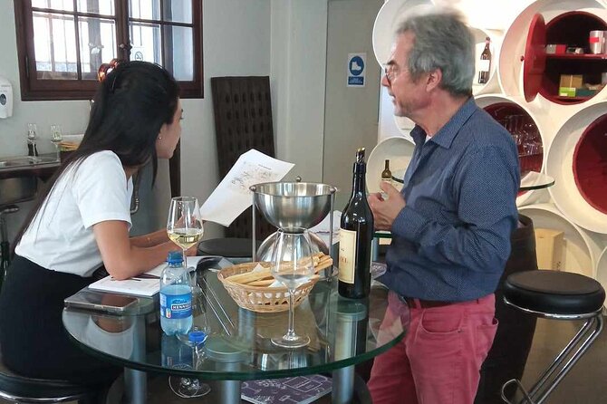 Swiss Vineyard Wine Tasting Tour in Vaud - Why this Vaud wine tour works as a day trip from Geneva