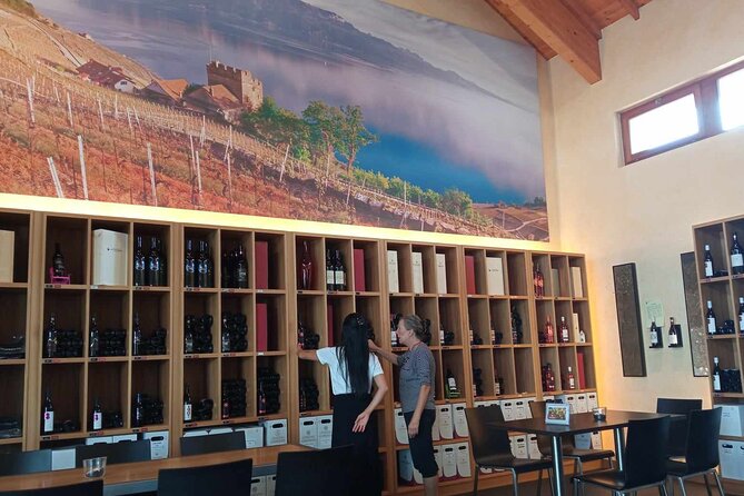 Swiss Vineyard Wine Tasting Tour in Vaud - Chillon Castle adds history between the tastings