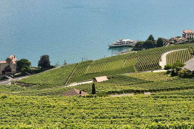 Swiss Wine Tasting at Lavaux Vineyards: Private Trip from Geneva - Key points to know before you book