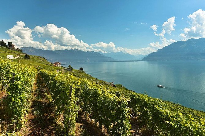 Swiss Wine Tasting at Lavaux Vineyards: Private Trip from Geneva - Why Lavaux is worth the trip from Geneva