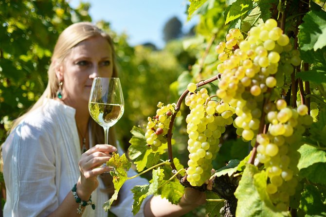 Swiss Wine Tasting at Lavaux Vineyards: Private Trip from Geneva - Weather, timing, and practical planning
