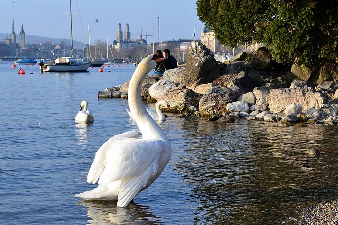 The Best of Zurich Including Panoramic Views in a Small Group Walking Tour - How long should you allow?