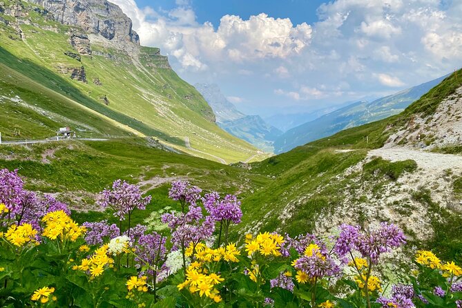 The natural wonders of Switzerland: private tour from Basel (1 day) - The five-minute walk to a waterfall