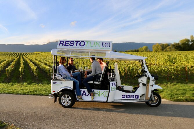 The Private Tuk Tuk Tour with one of The Best Fondues in Geneva! - The fondue itself: authentic, but not a banquet