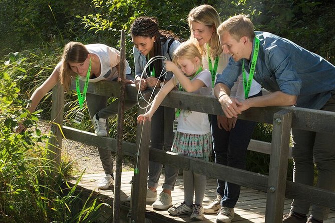 Thun Foxtrail Treasure - Hünegg Castle park adds a memorable setting