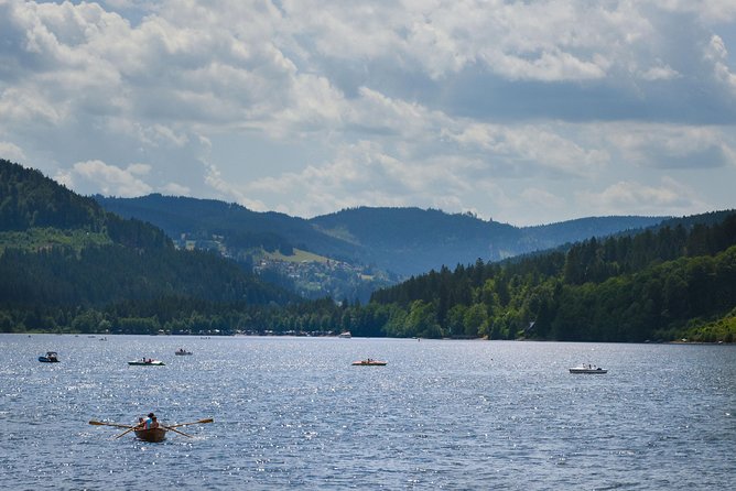 Trip from Zurich to Germany's Black Forest & Swiss Rhine Falls - Leaving Zurich for the Rhine Falls