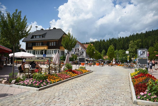 Trip from Zurich to Germany's Black Forest & Swiss Rhine Falls - What the private format really changes