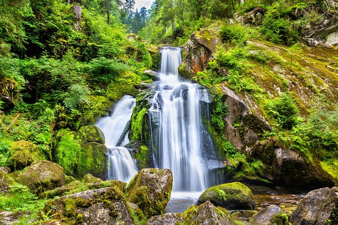 Trip from Zurich to Germany's Black Forest & Swiss Rhine Falls - Who will get the most from this tour?