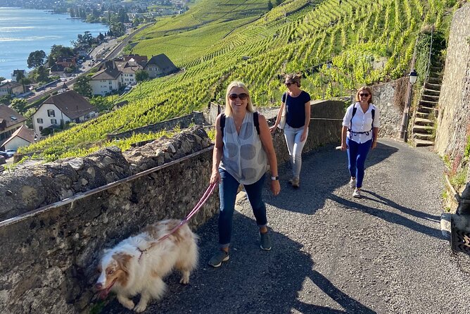 Vine Stories: Lavaux & Lutry wine walk - Why this Lavaux walk is worth your afternoon