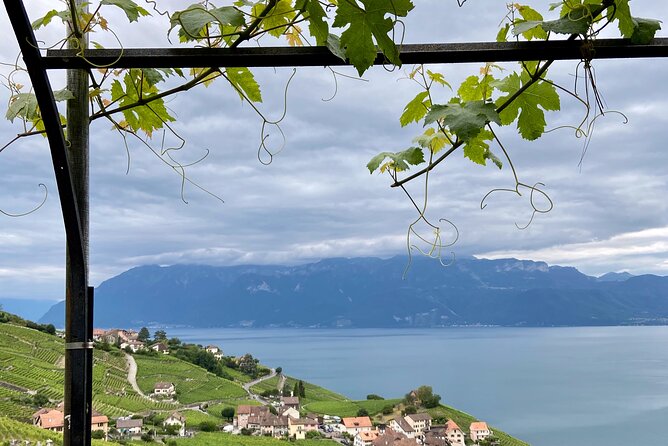 Vine Stories: Lavaux & Lutry wine walk - Starting at Bossière above Lutry