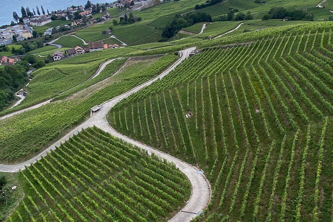 Vine Stories: Lavaux & Lutry wine walk - Who should book this experience