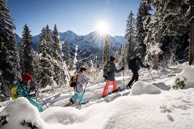 Winter Alpine Adventure - Snowshoeing beneath the Eiger, Mönch, and Jungfrau