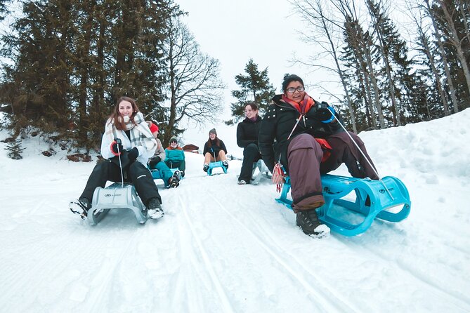 Winter Alpine Adventure - Group size, fitness, and family suitability