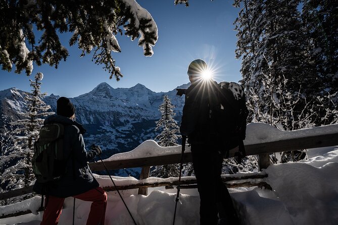 Winter Alpine Adventure - Sledding from the mountain toward Isenfluh
