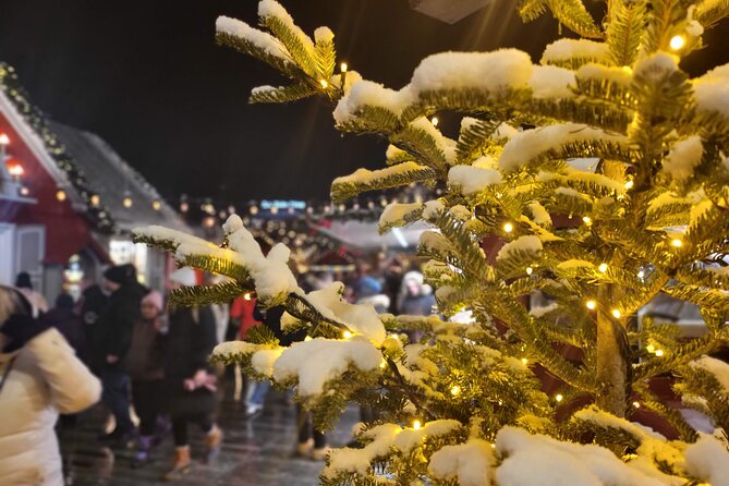 Zurich Christmas Market Tour - What the guide adds to the evening