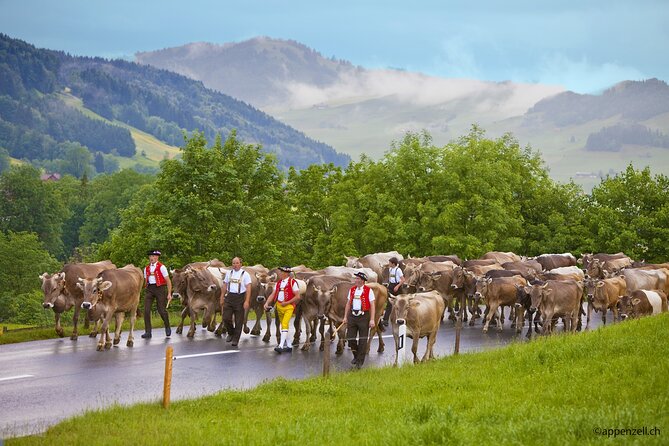 Zurich Open Top Bus, Chocolate and Cheese Factory Tour Appenzell - Timing, group size, and practical planning