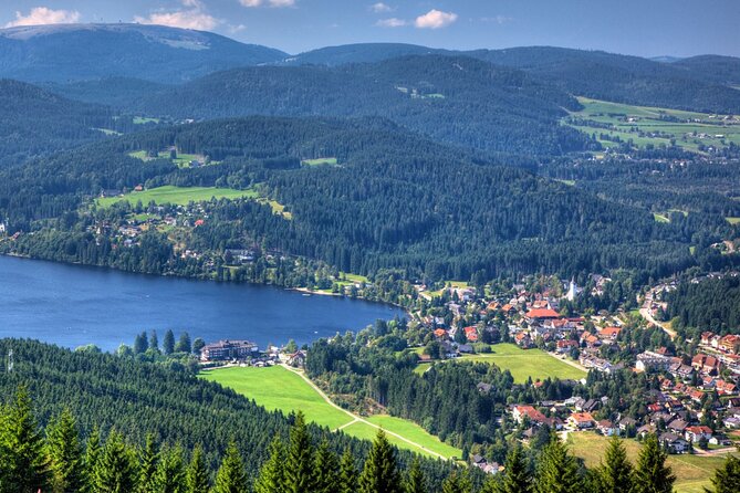 Zürich: Private Car Tour to Rhine Falls, Titisee and Black Forest - Schaffhausen in a compact half-hour visit