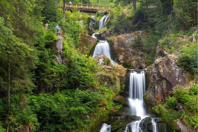 Zürich: Private Car Tour to Rhine Falls, Titisee and Black Forest - Lake Titisee and the quieter side of the route